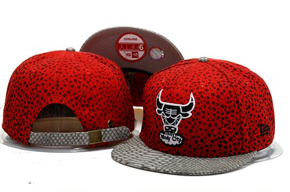 Chicago Bulls Snapback Hat YS B 140802 14